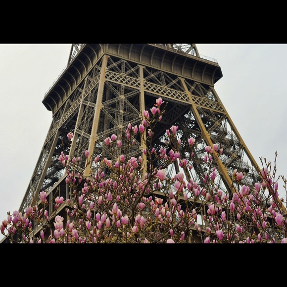 Meet your Posher, Tricia - Picture 1 of 1